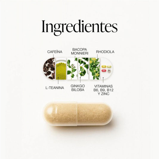 ZZEN Nootropika-Nahrungsergänzungsmittel | Konzentrations- und Energiebooster für das Gehirn | Kapseln zur Steigerung der kognitiven Leistungsfähigkeit | Unterstützung von Fokus, mentaler Klarheit und natürlicher Energie