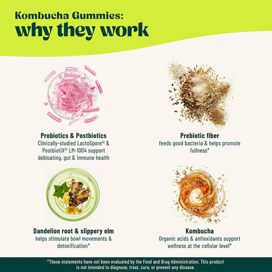 Probiotic Kombucha Gummies for Bloating Relief & Gut Health | Berry Bliss 60 Count Digestive Support Supplement