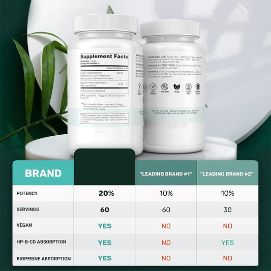 Turkesteron 500mg Kapseln - Standardisiert auf 20% mit Bioperin & HP-CD | 60 pflanzliche Kapseln | Veganes, gentechnikfreies, glutenfreies Kräuterergänzungsmittel