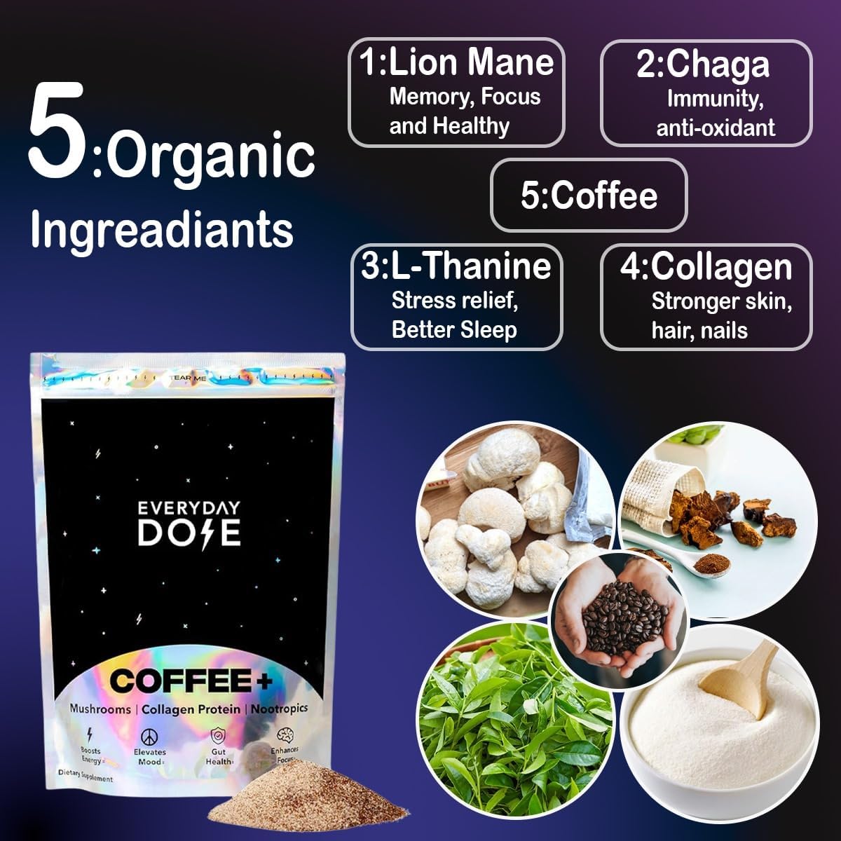 Everyday Dose Coffee+ Set of 3 — Mushroom Coffee with Collagen Protein & Nootropics | Boost Energy, Focus, Mood & Gut Health