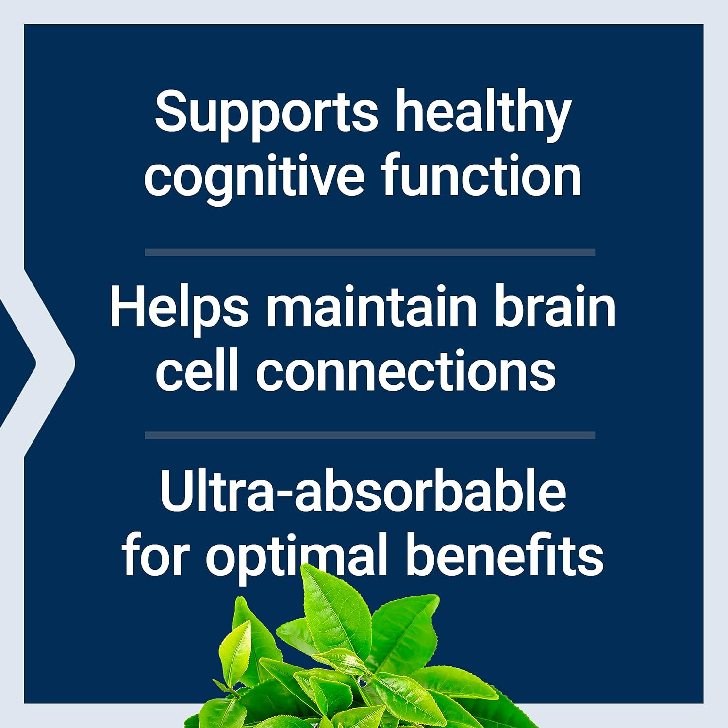 Life Extension Neuro-Mag Magnesium L-Threonate مجموعة من 2 | 90 كبسولة نباتية | مكمل Magtein لدعم الدماغ والذاكرة