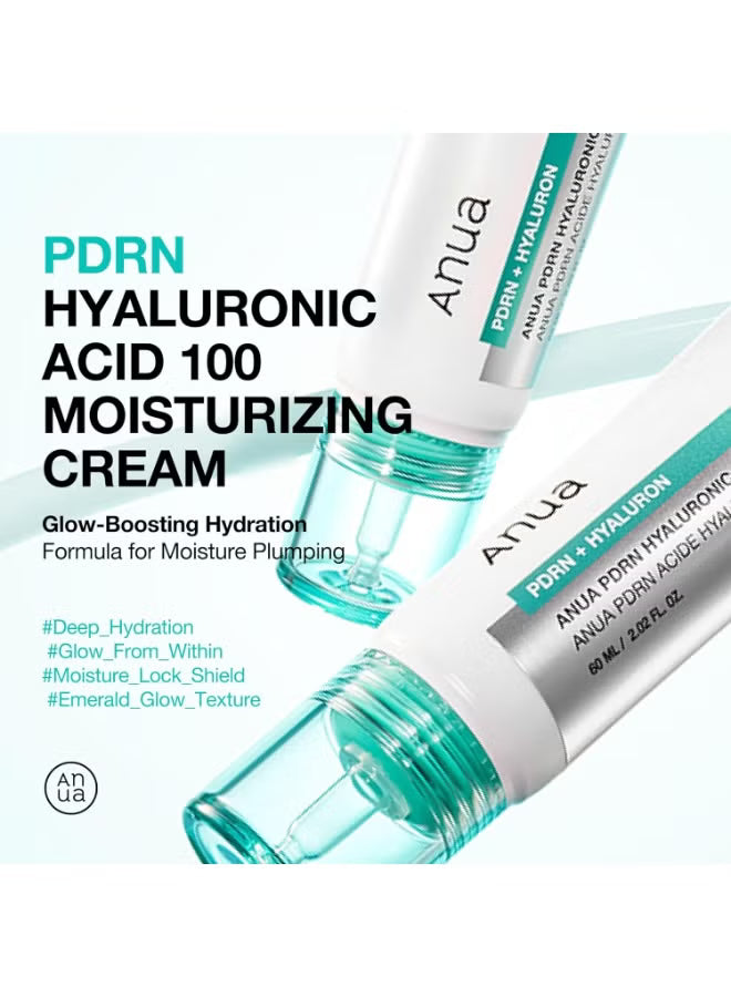 Anua PDRN & Hyaluronic Acid 100+ Moisturizing Cream Buy One Get One Free | Deep Hydration Barrier Repair Korean Face Cream 40ml