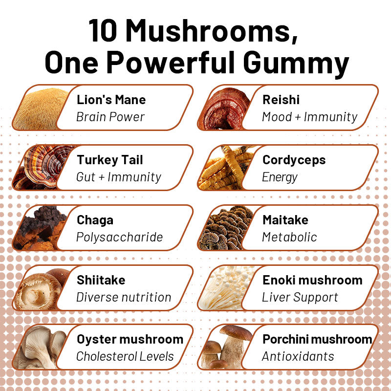 Winstown Daynee 10-in-1 Mushroom Gummies – 60 Vegan Gummies | Immunity, Focus, Energy & Mood Support | Daily Mushroom Blend Supplement