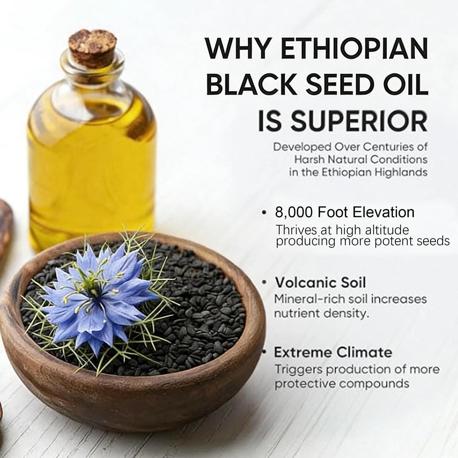 Purely Nutrient Ethiopian Black Seed Oil Softgels - 100% Pure Nigella Sativa | Immune Support, Gut Health & Natural Balance | 60 Softgels