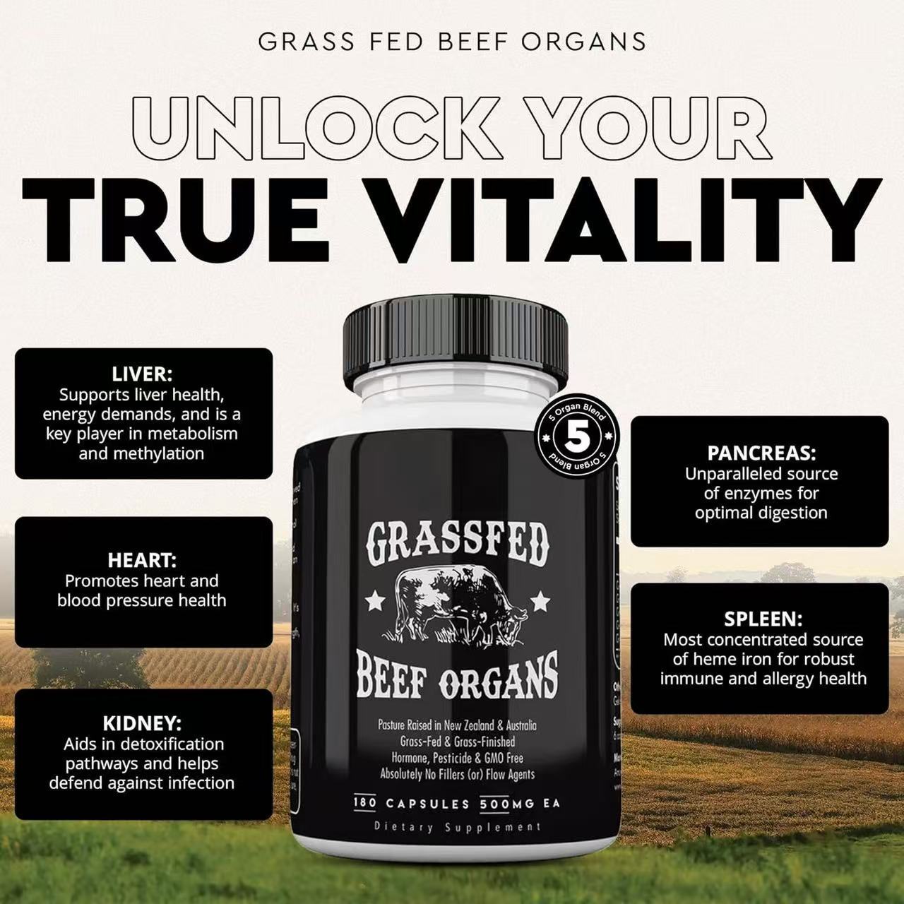 Grassfed Beef Organs Supplement | 180 Capsules 500mg | Pasture Raised New Zealand & Australia | Non-GMO, Hormone Free, No Fillers ? Ancestral Superfood