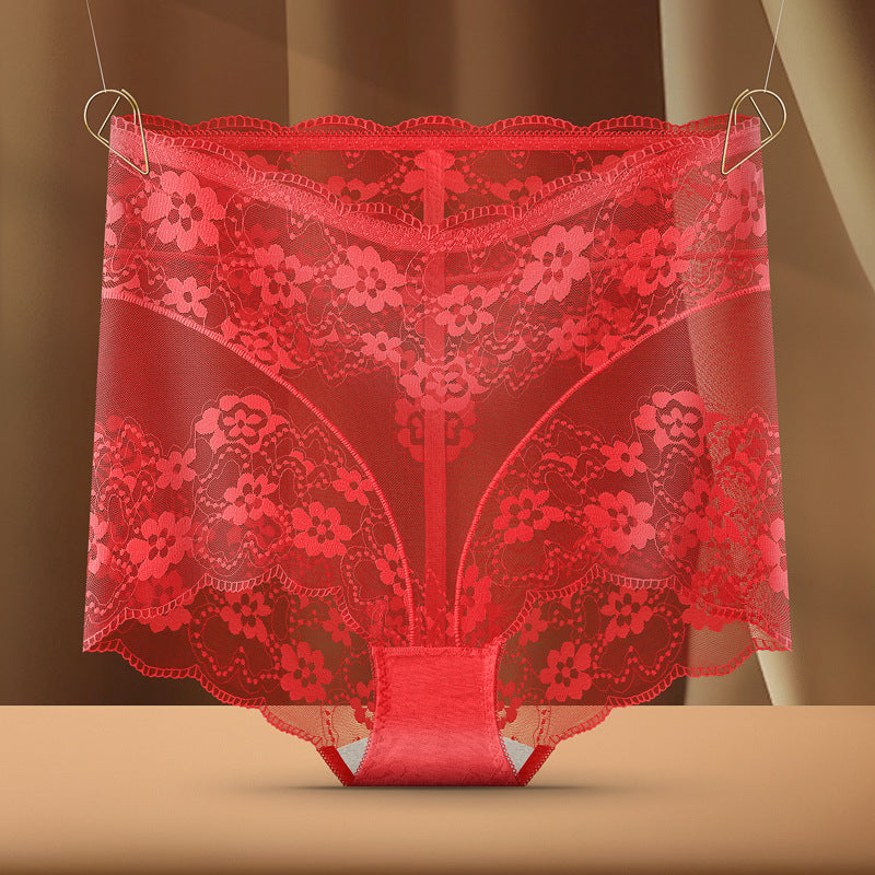 Black High Waist Floral Lace Panties for Women | Sheer Mesh Underwear | Sexy High Rise Briefs