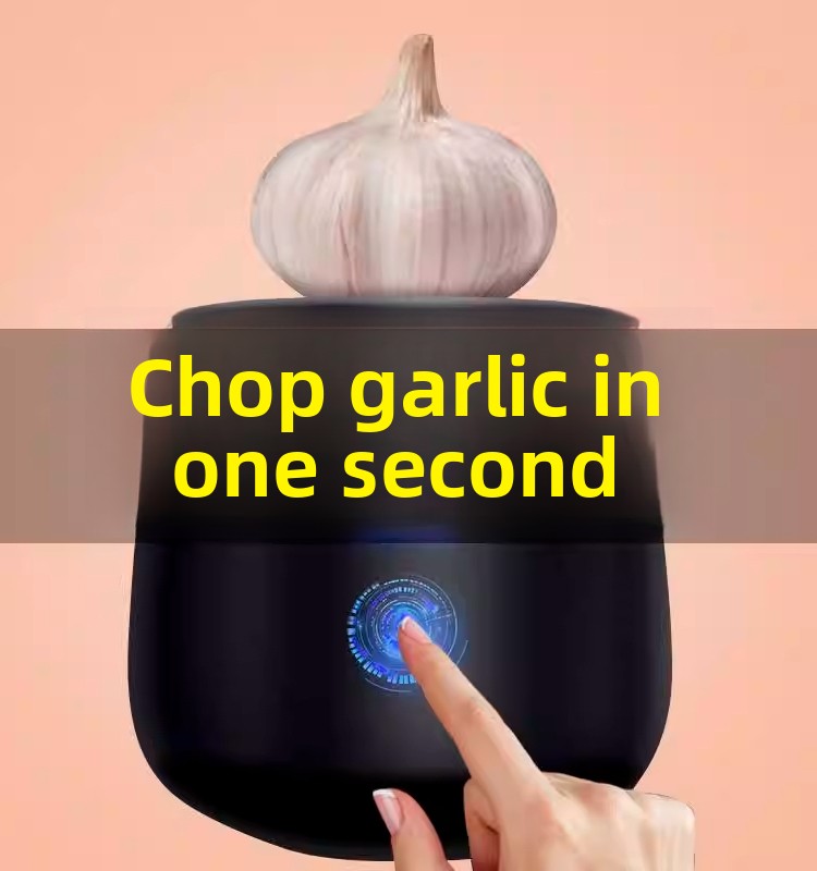 Electric Garlic Mincer and Crusher