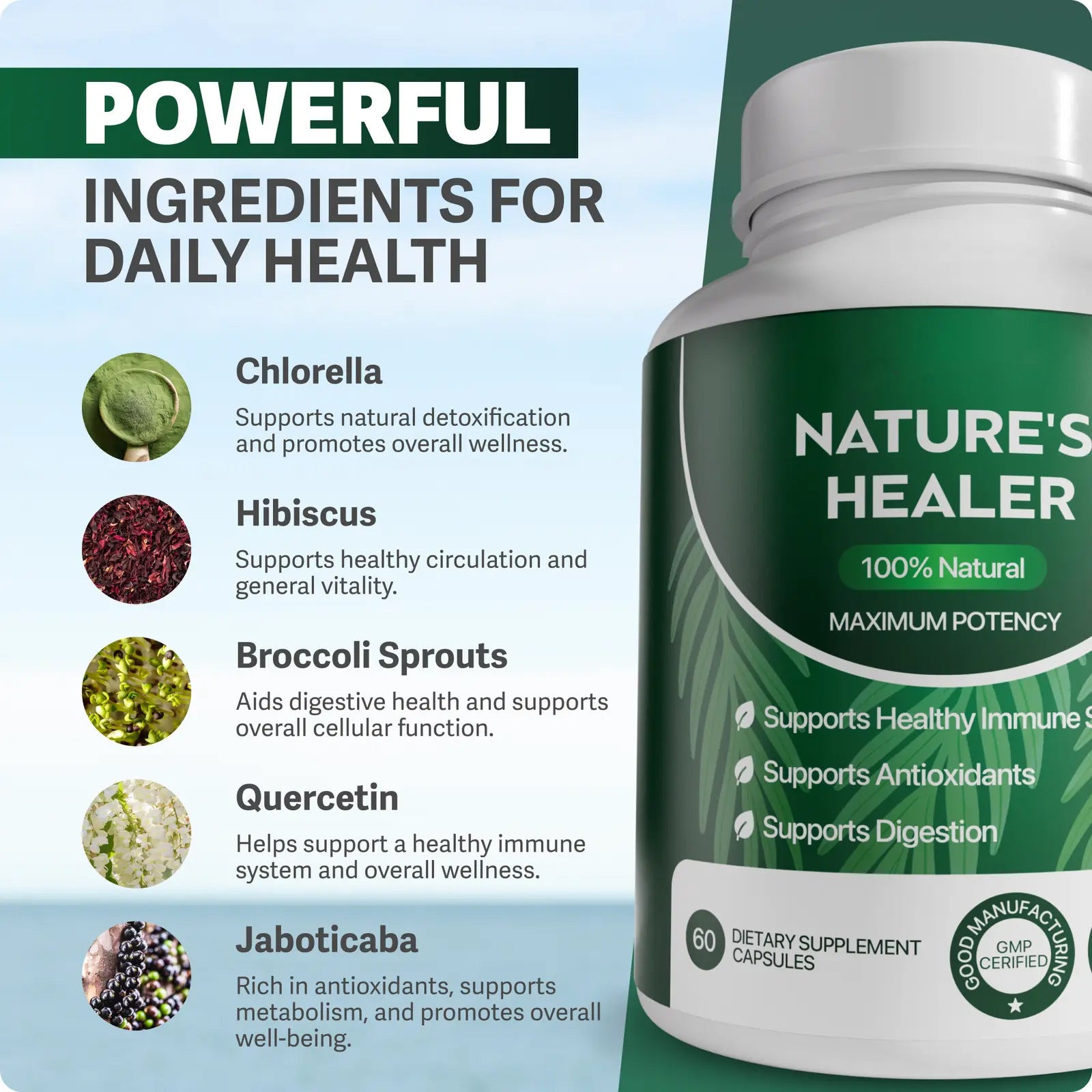 Nature's Healer 100% Natural Maximum Potency Supplement- Immune Support, Antioxidants & Digestion | GMP Certified 60 Capsules
