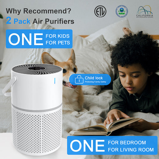 Desktop Air Purifier with Touch Control | Portable HEPA Filter Small Air Cleaner for Bedroom Office Desk