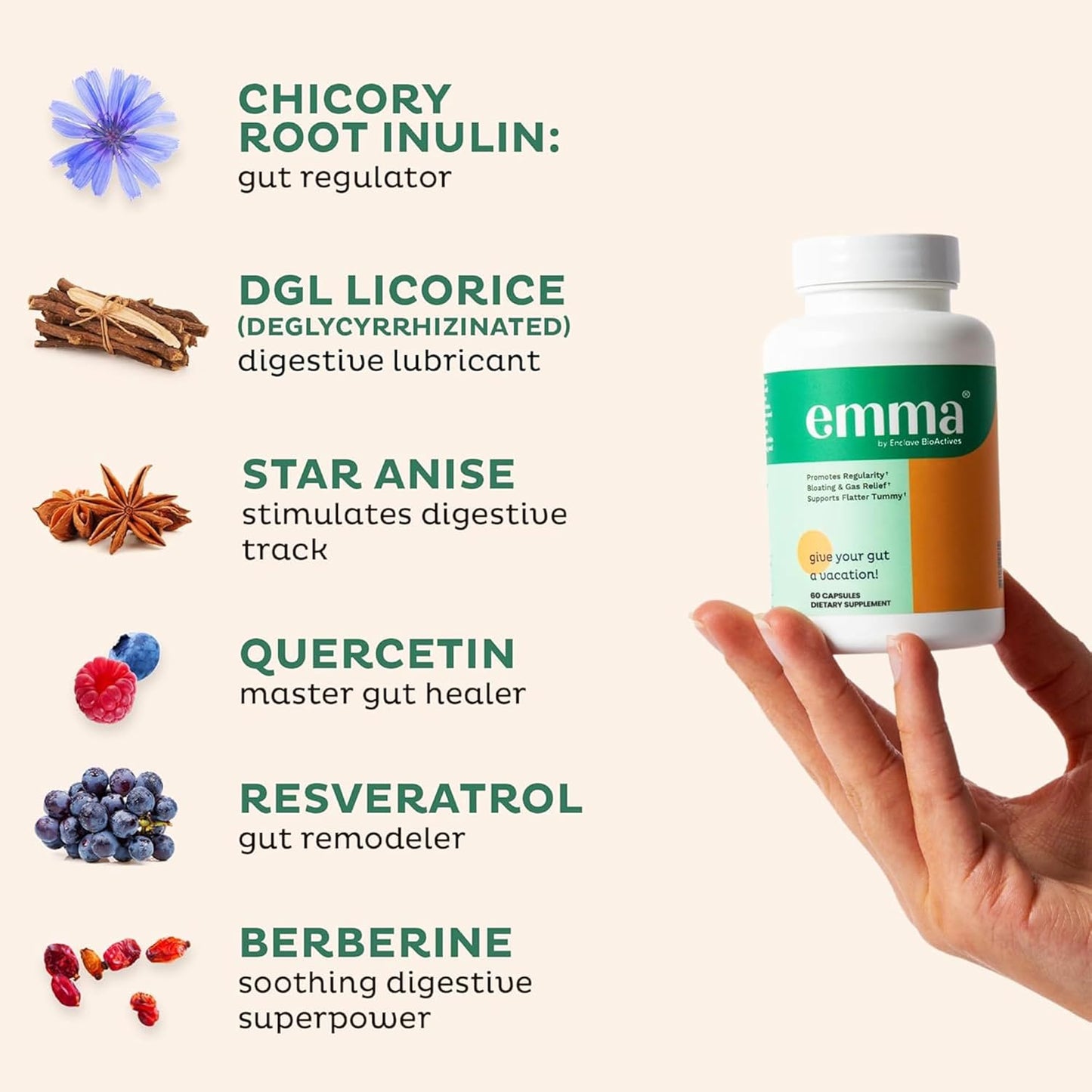 Emma Gut Health Supplement by Enclave BioActives Set of 2 | 60 Capsules | Bloating Relief, Regularity & Flatter Tummy Support