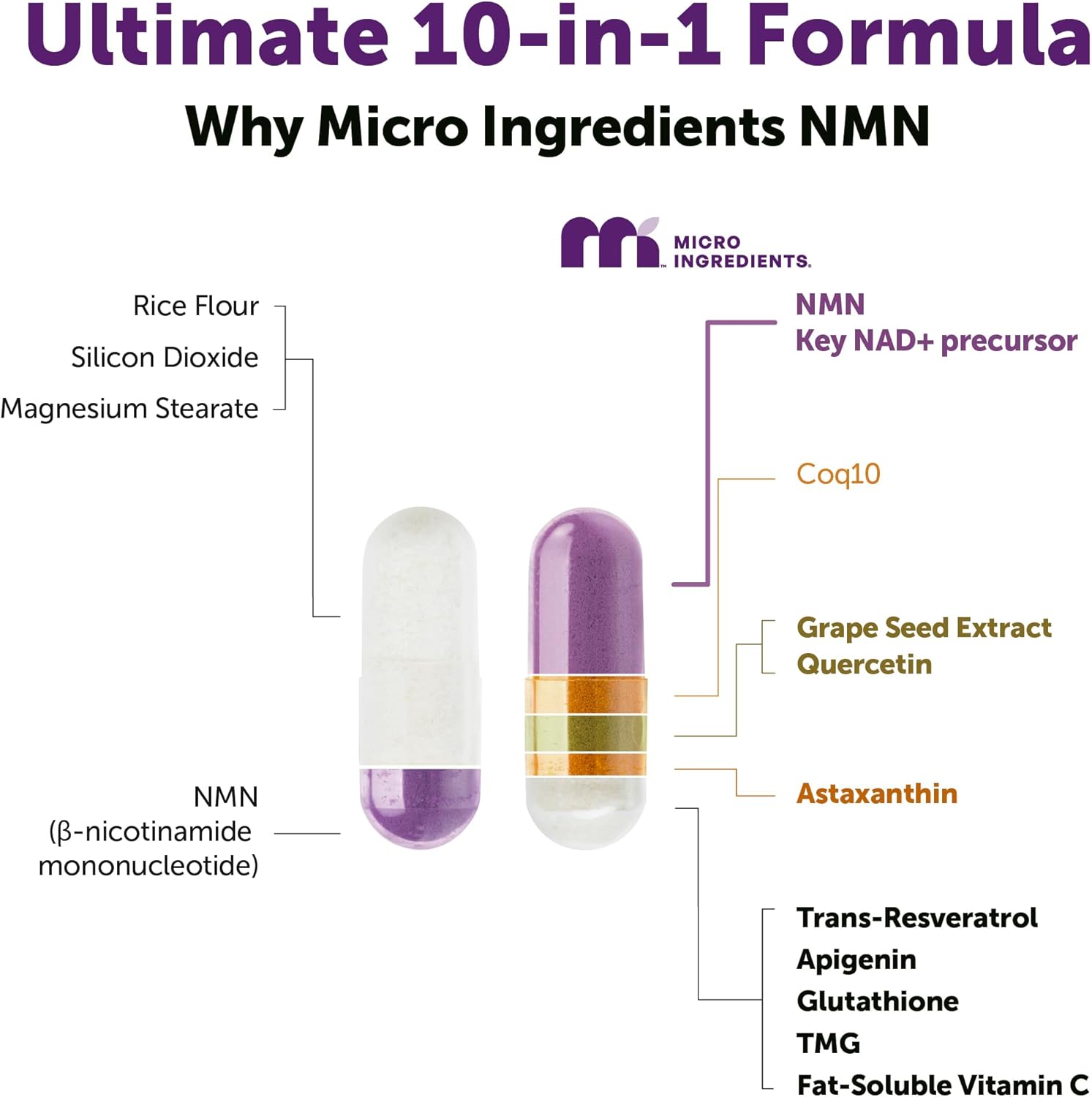 مكمل غذائي NMN 1000 ملجم من Micro Ingredients - بيتا نيكوتيناميد أحادي النوكليوتيد 10 في 1 فائق - مكونات نظيفة - 120 كبسولة نباتية - معزز للـ NAD+ للطاقة ومقاومة الشيخوخة وصحة الخلايا