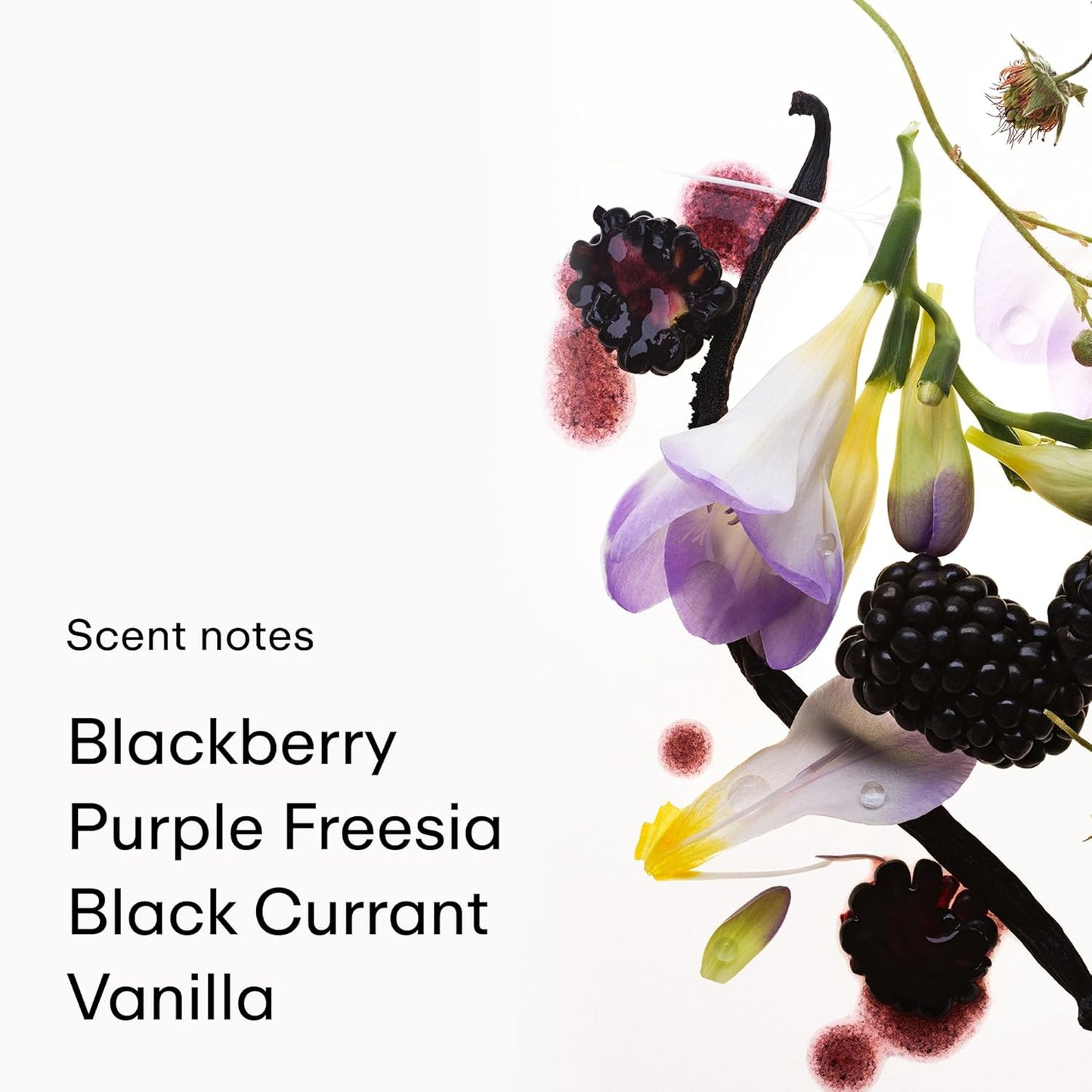 Phlur Vanilla Blackberry Haar- und Körperspray | Süßer, fruchtiger Duft | Leichtes Körperspray für Frauen