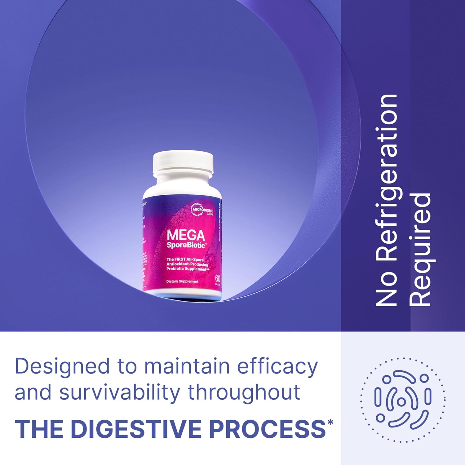 MegaSporeBiotic by Microbiome Labs Set of 2 | 60 Capsules | First All-Spore Probiotic for Gut Microbiome Balance & Gastrointestinal Health