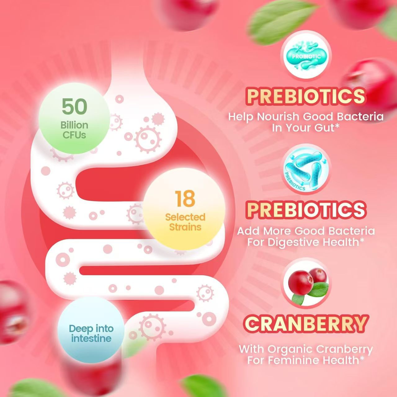 Women's Probiotic Gummies 5 Billion CFUs, Advanced 3-in-1 Cranberry Prebiotic & Probiotic Supplement, Vegan Non-GMO No Sugar Gut Health Gummy, Digestive & Vaginal Flora Support, 60 Count Daily Wellness