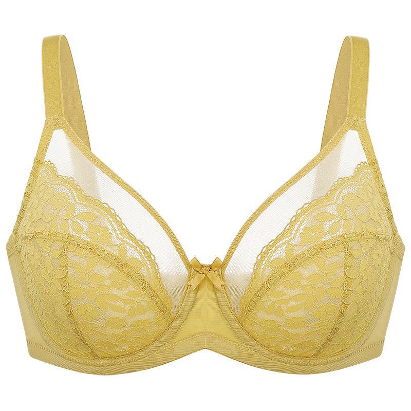 Damen-Bügel-BH aus salbeigrüner Spitze | Vollständige Abdeckung, ungefüttert, mit floraler Spitze und Mesh | Stützender Alltags-BH für alle Cup-Größen | Weltweiter Gratisversand 