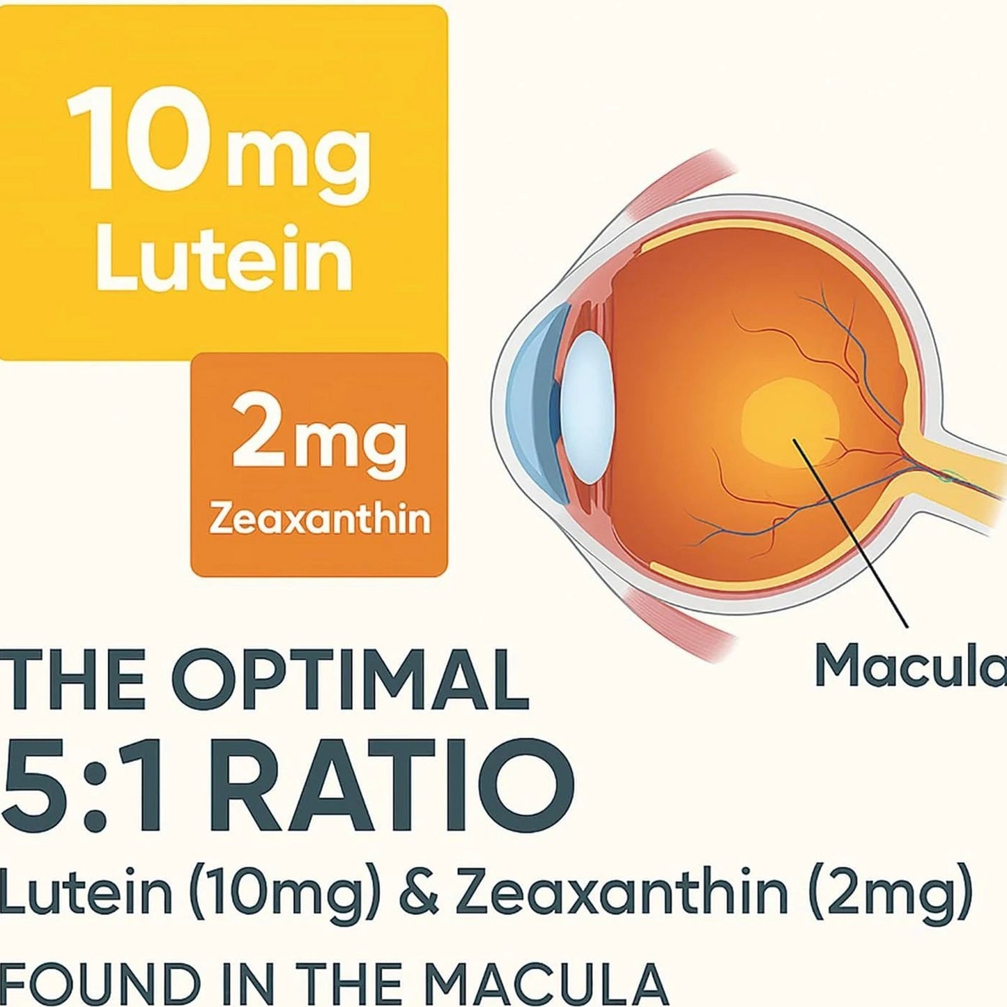 EverVision 14-in-1 Advanced Eye Formula Supplement - Lutein Zeaxanthin Meso-Zeaxanthin Astaxanthin Bilberry Saffron - Reduces Eye Strain & Screen Fatigue - Supports Clear Sharp Vision - 60 Capsules